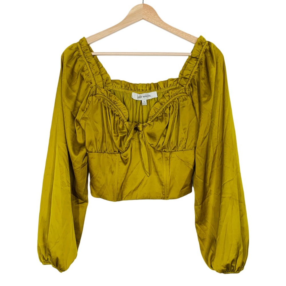 Sexy Silky Long Sleeve Crop Top